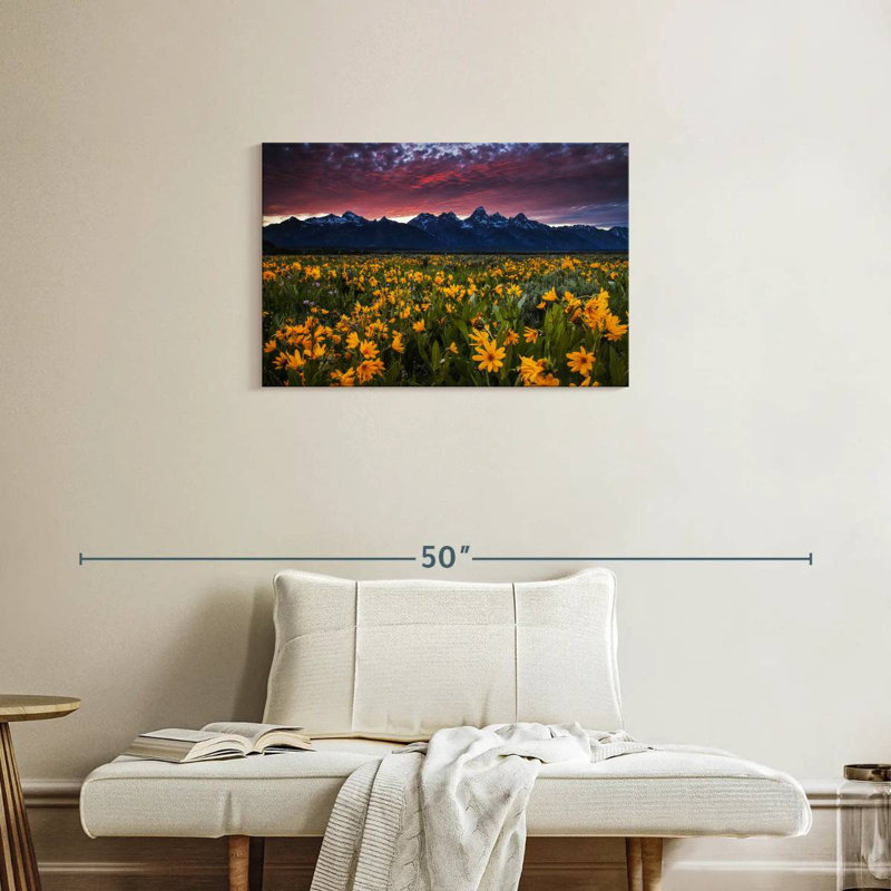 Champ de fleurs sauvages Alvord, H 20 po x l 30 po