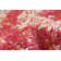 Oriental Indoor Rug