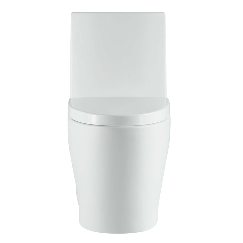 Dual-Flush Elongated One-Piece Toilet with High Efficiency Flush, White Matte