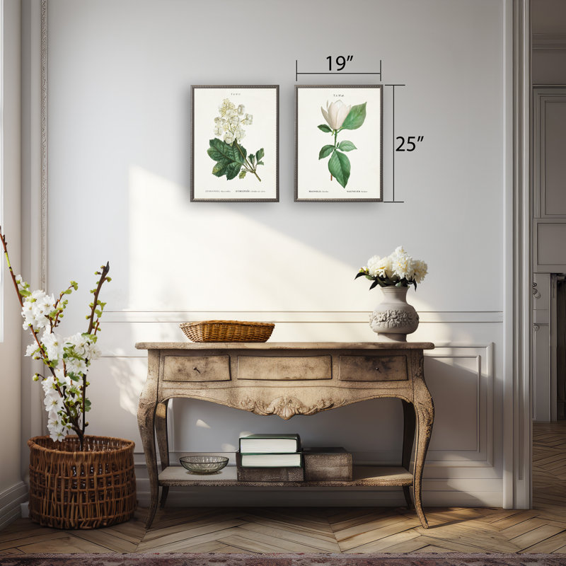 Hortensia blanc sur fond blanc