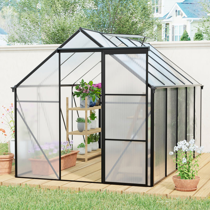 Serre en polycarbonate surélevée 6X10 pi
