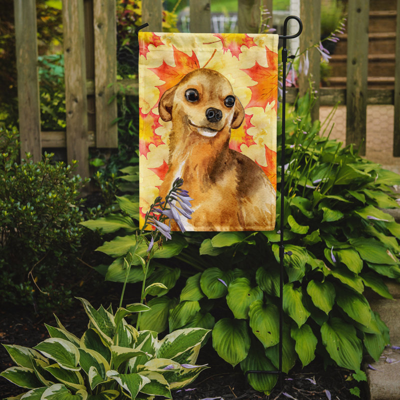 Automne 2 côtés en polyester 15 x 11 po drapeau de jardin, Chihuahua blond / brun