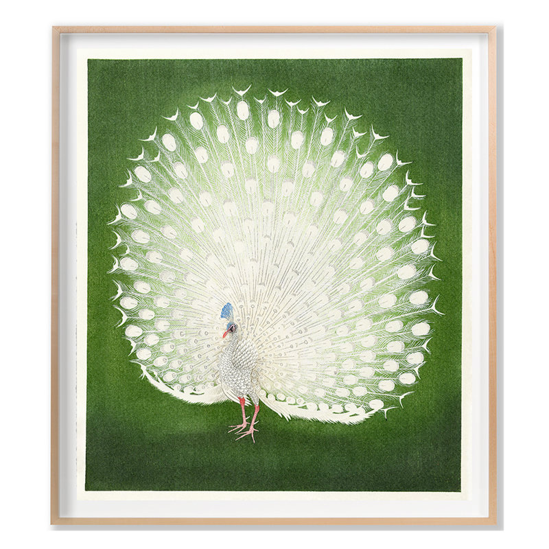 White Peacock Print by Grand Archives, Maple Framed, 45" H x 40" W