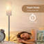 165cm Polished LED Traditional Floor Lamp
