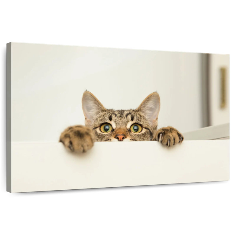 Peeking Young Cat, 24" H x 36" W
