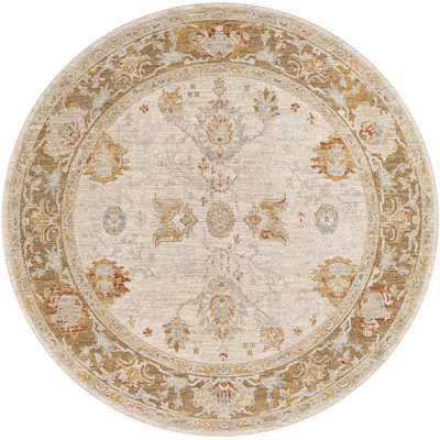 Finnlagh Oriental Indoor Rug