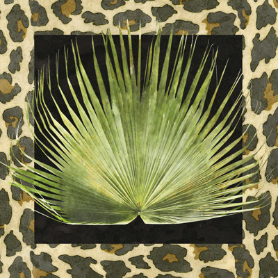 Collection Tropic III