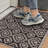 Benaiah Indoor Doormat Washable Doormat for Entryway w/ Non Slip Backing-97924758