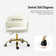 Belanda 23'' W Modern Velvet  Task Chair with Tufted Back
