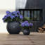 Pot Planter-332018650-393093553