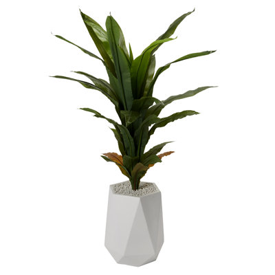 Maïs en pot de résine