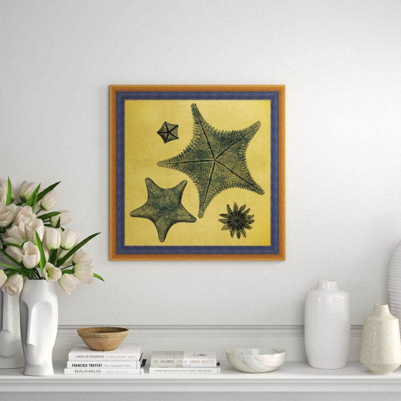 Gold Leaf Starfish 1 Print