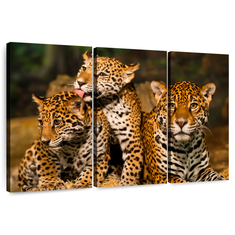 Jaguar Tribe, 20" H x 33" W