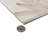 Nusa Botanic 9 3/4" x 9-3/4" Porcelain Wall & Floor Tile-88570885