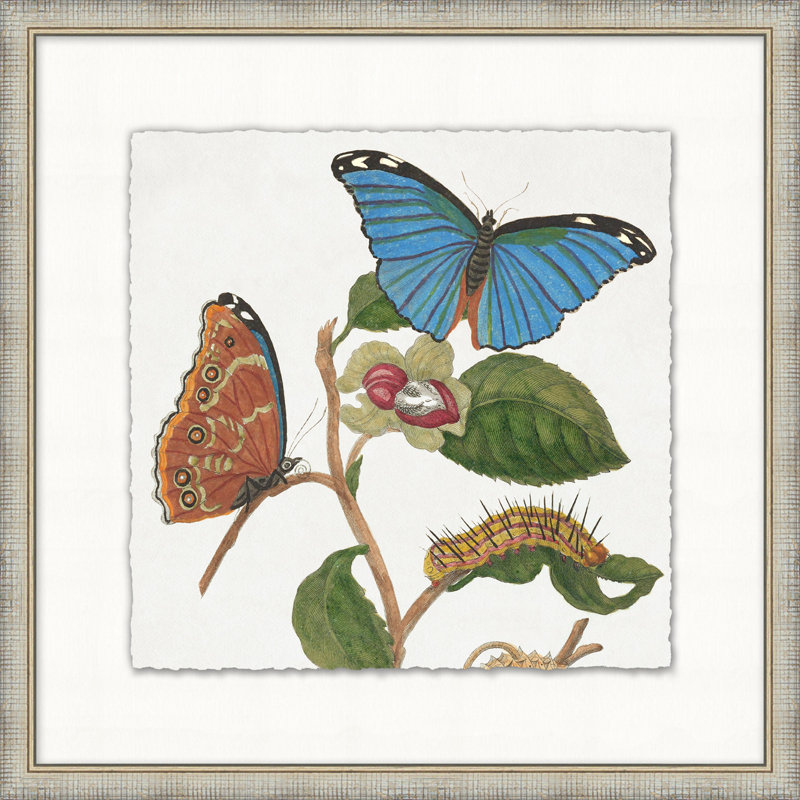 Square Silver Framed Watercolor Butterfly Print with Tempered Glass