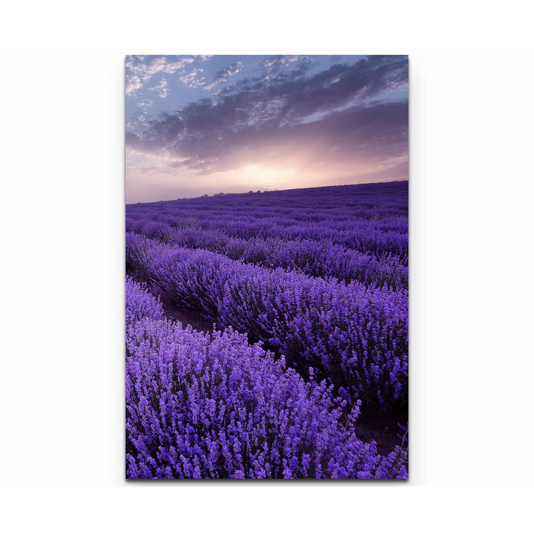 Leinwandbild Lavendel Feld