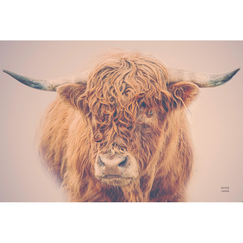 Highland In The Winter Fog by Nathan Larson - Wrapped Canvas Print, 51cm H x 76cm W x 3.8cm D