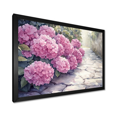 Hydrangeas In Monochrome Garden Path II - Hydrangea Wall Art