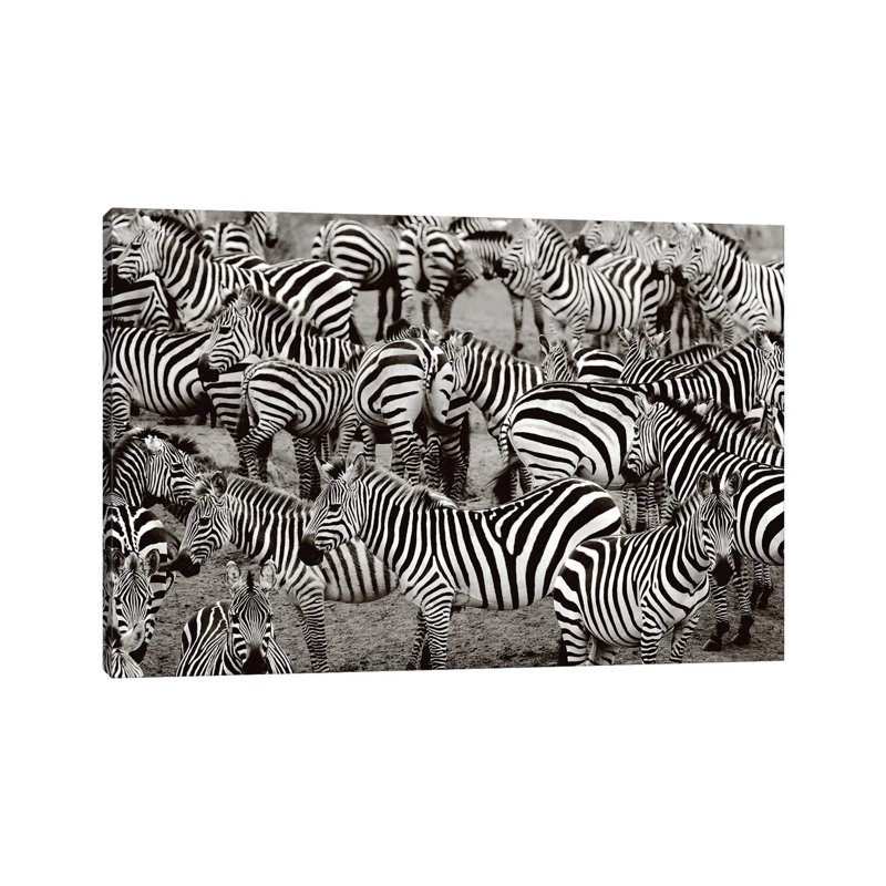 Zebra Abstraction by Jorge Llovet - Wrapped Canvas Print, 101.6 cm H x 66.04 cm W x 1.91 cm D