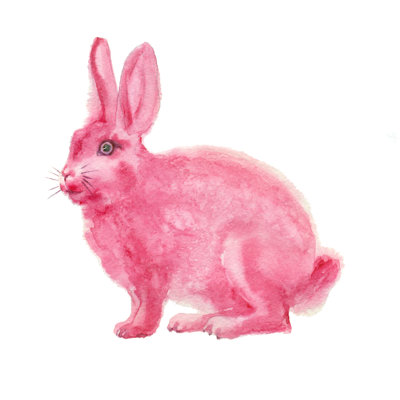 Liyanage " Fluffy Rabbit " by Katerinakr Painting Print