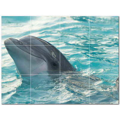 Murale décorative en céramique 4,25 po x 4,25 po Dolphin Photo