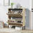 2 Flip Shoe Cabinet,Multi-Layer Shoe Rack,Modern Minimalist,Storage Cabinet, For Entryway