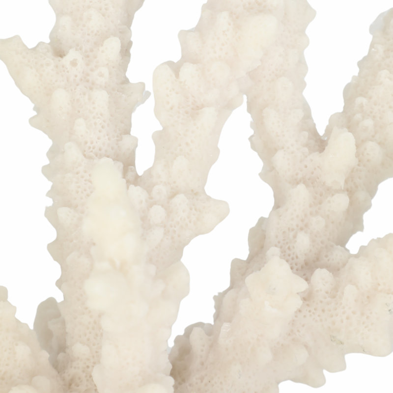 Statue décorative corail sur base de verre pour décoration intérieure - Figurine parfaite pour les décorations de salon - 14 po, blanc