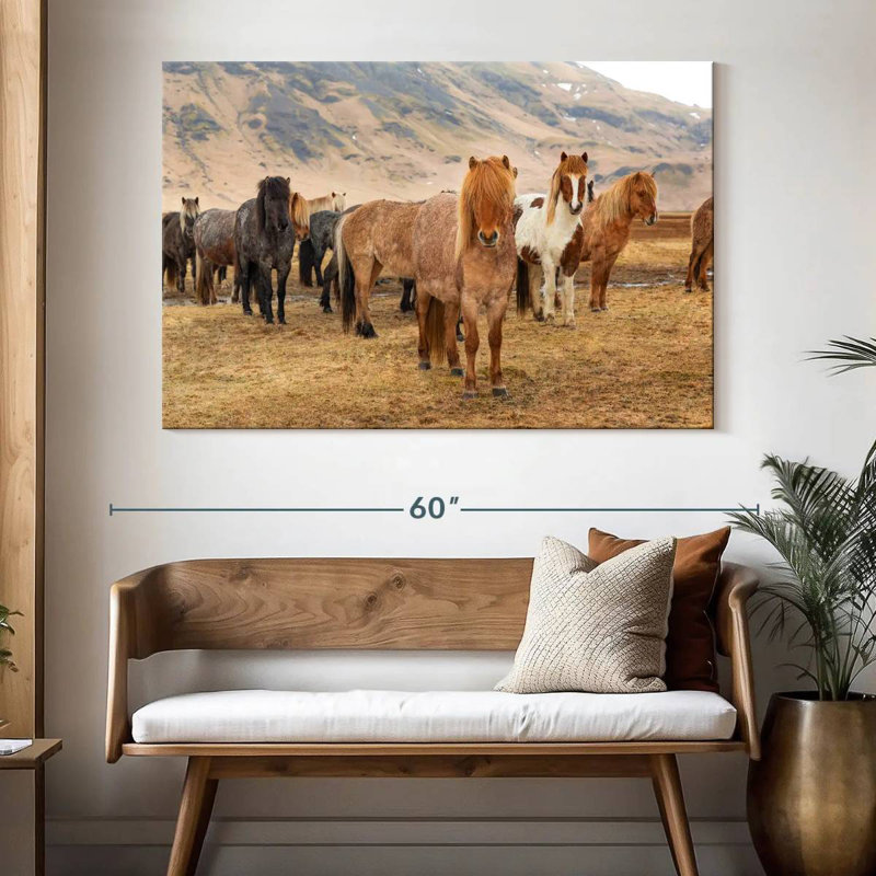 Brampt, chevaux islandais dans la campagne III, H 34 po x l 51 po