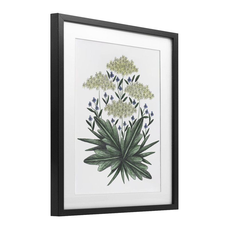 «New Roots», reproduction rétro encadrée sous verre, conception de Cecilia Battaini, Cadre noir minuit, H 16 po x l 13 po