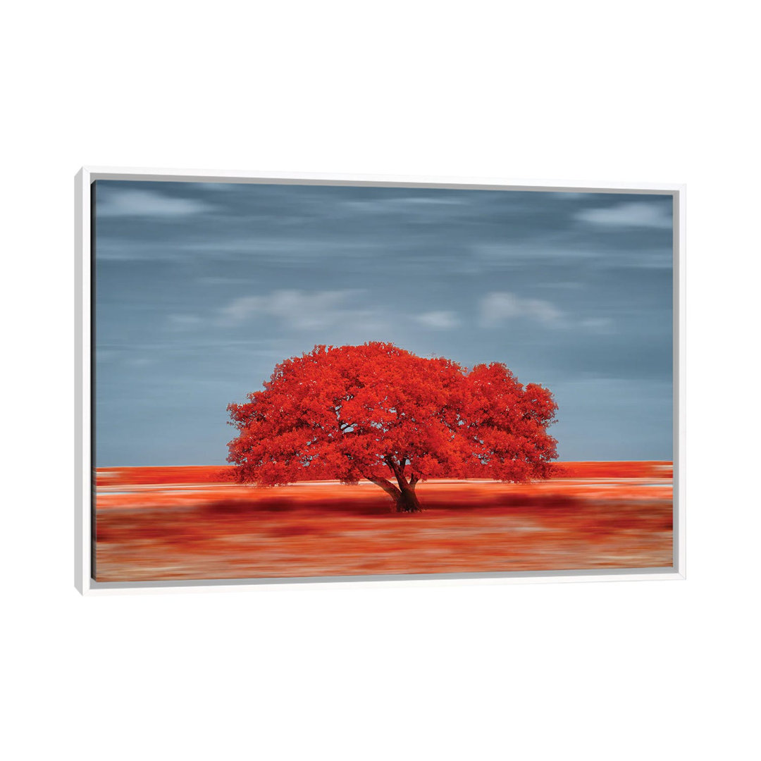 Lonely Red Tree On The Field by Glauco Meneghelli - Floater Frame Print on Canvas