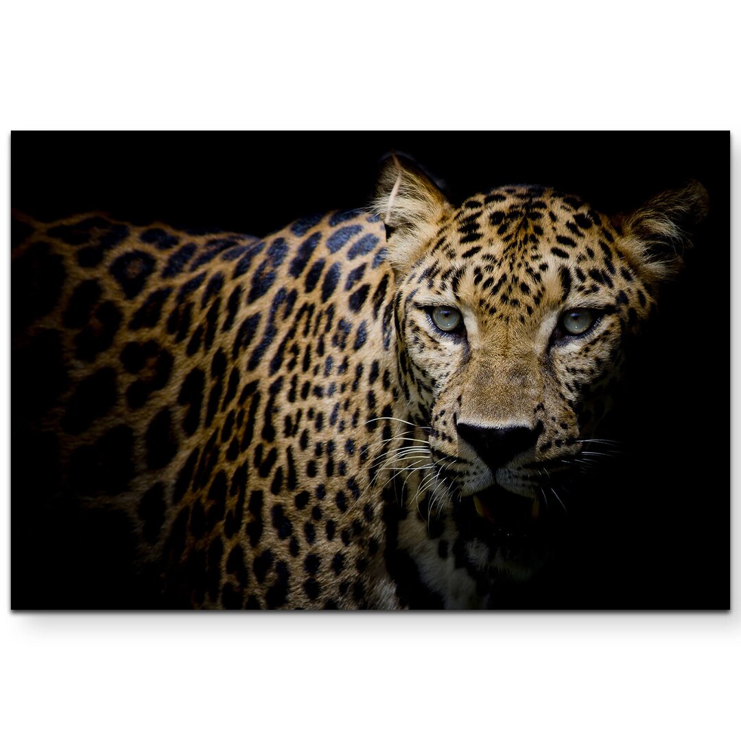 Leinwandbild Portrait Leopard