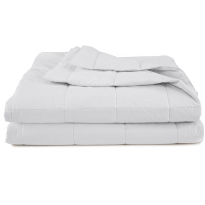 EcoPure Filled 100% Cotton Cover Solid Blanket