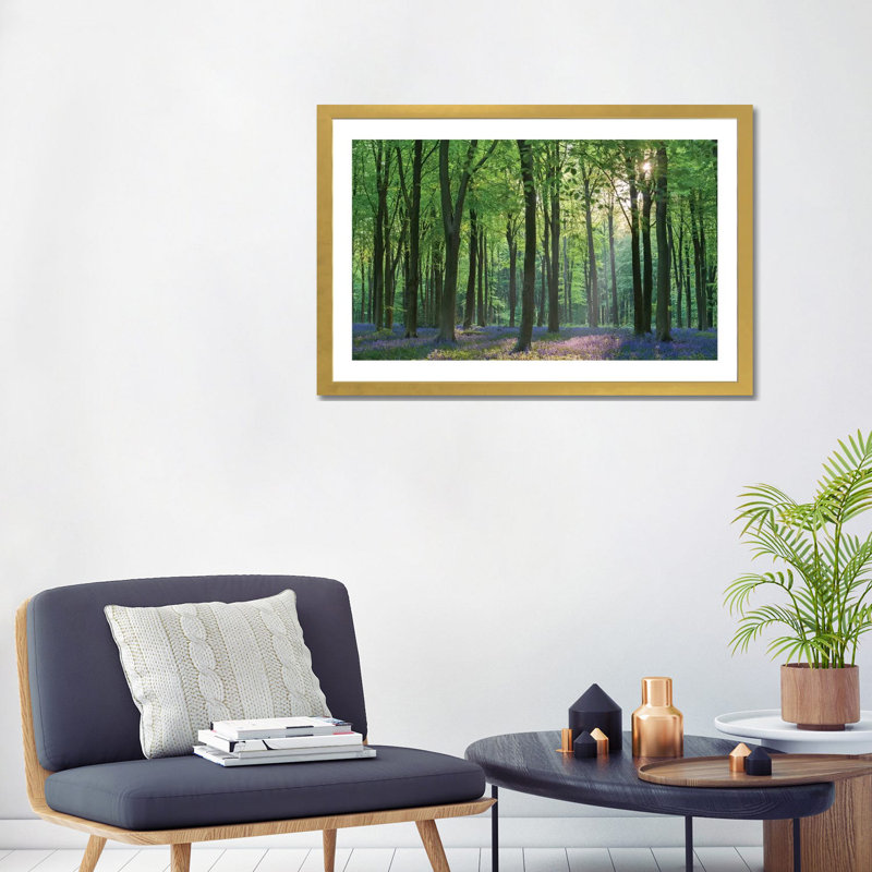 «Bluebell Forest II» par Adam Burton - reproduction de photo, H 24 po x l 32 po x P 1 po, Papier encadré doré