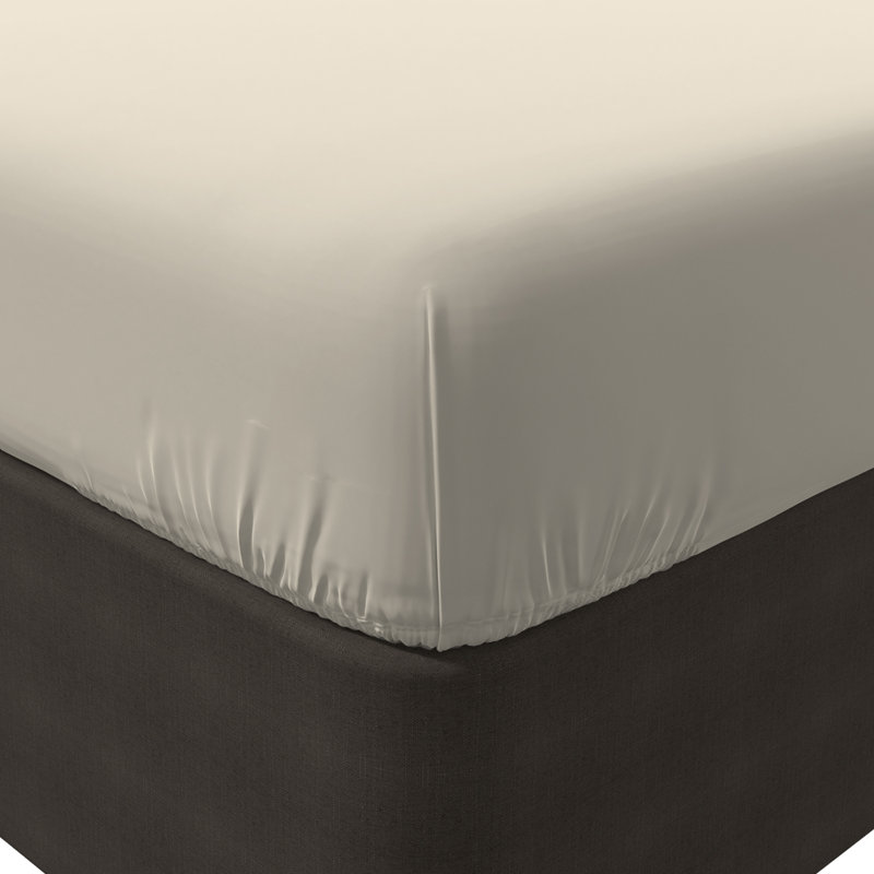 Ivory Queen Cotton Percale Fitted Sheet Set