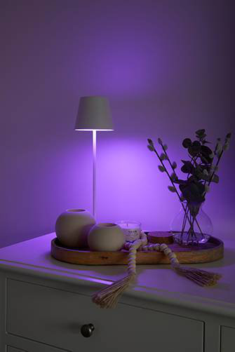 Indoor Outdoor Portable LED Table Lamp Touch Dimmable IP54 Rated LED Colour Changing Bedside Table with USB-C Charging Cable