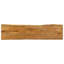 Vidaxl Table Top Solid Wood Mango-102731051