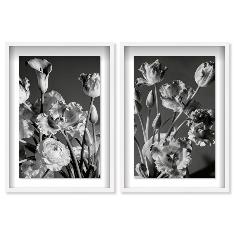 Botanique Noir Set Set by Oliver Gal, 25.5" H x 17.5" W, White Shadowbox