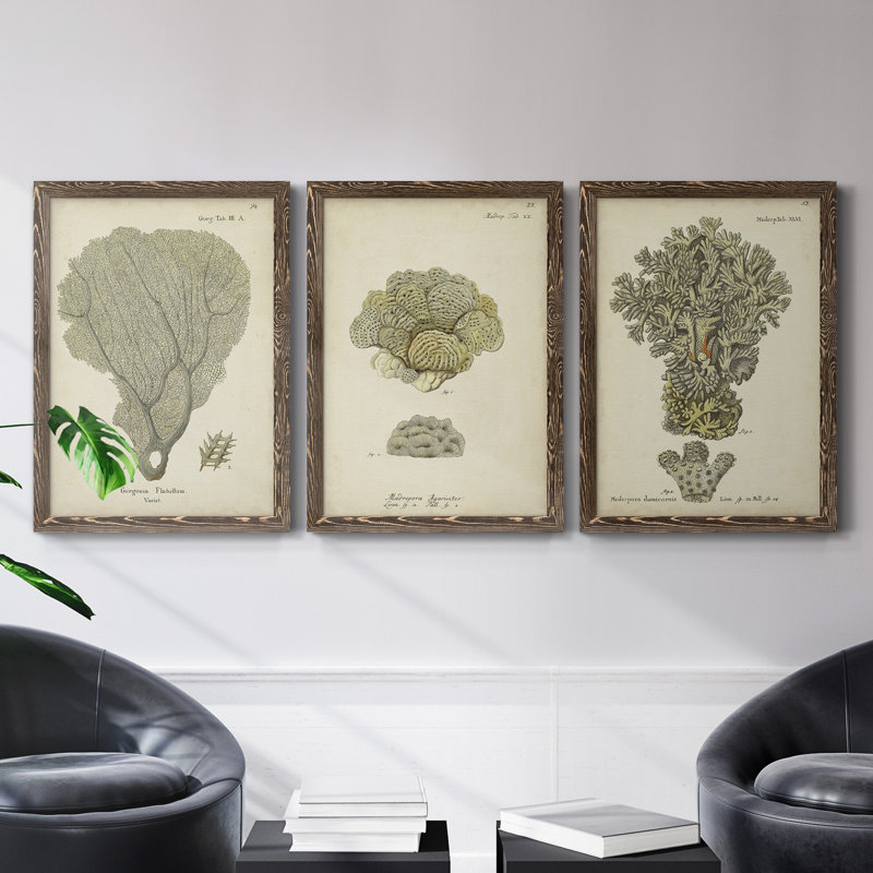 Écru corail IV - Ensemble de 3 peintures sur toile encadrées, Noyer, H 43,5 po x l 31,5 po x P 1 po