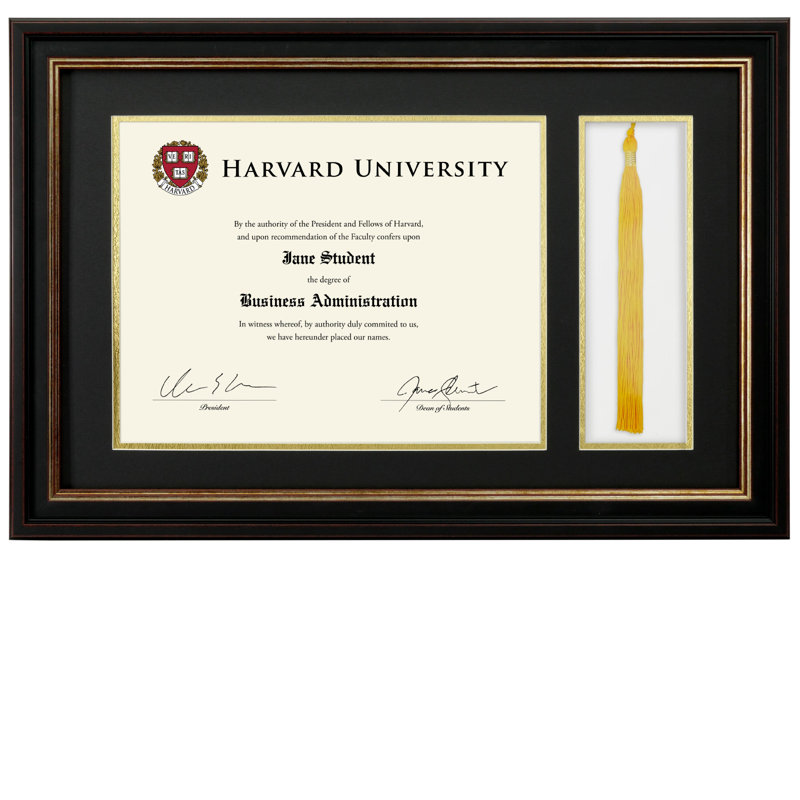 Excello Global Products 8.5X11 Document Frame With Double Mat And Tassel - Black/Gold