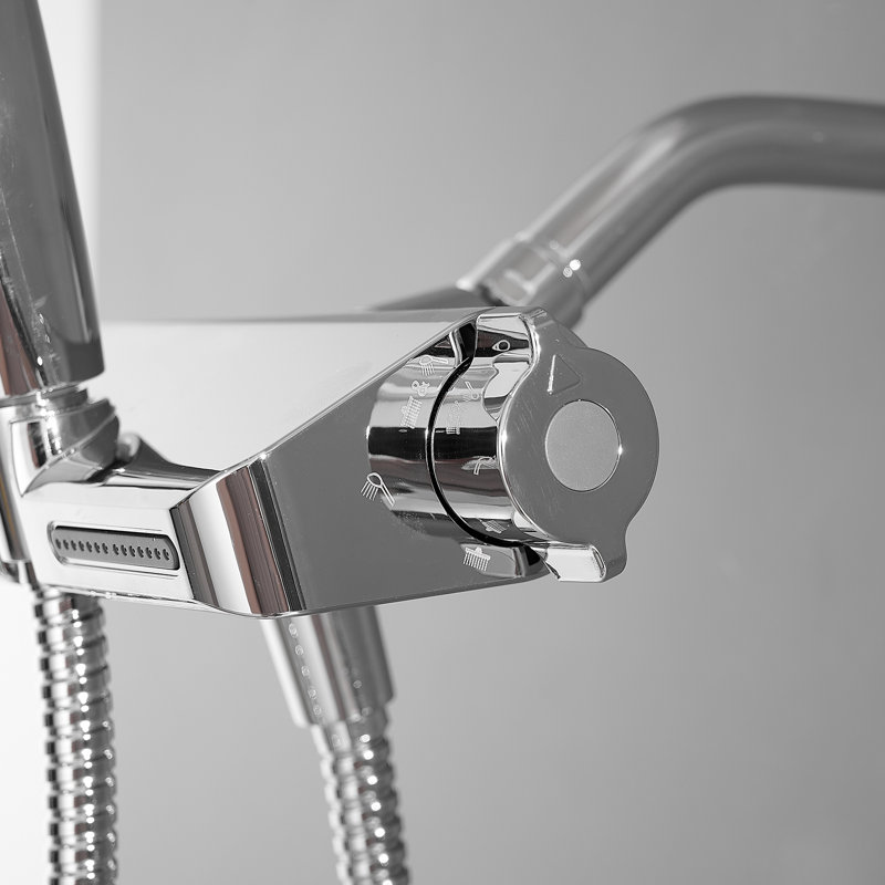 Rain Handheld Shower Head 2.0 GPM GPM with Water Filtration, Polished Chrome