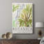 Botanica III, affiche d'exposition - galerie Cavas personnalisée