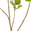Artificial 4' Cotinus Coggygria Branch-20583959