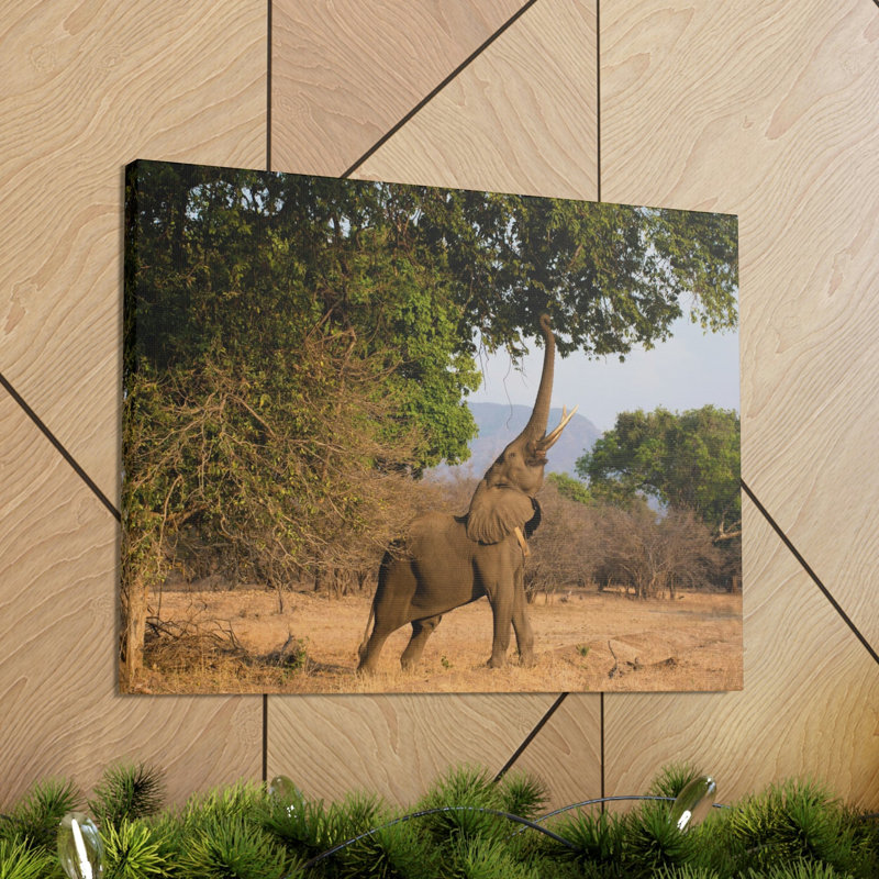 No Frame Print on Canvas, 40.64cm H x 50.8cm W