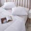 Coussin Feathers-61187462