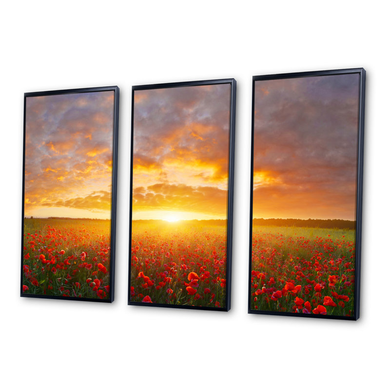 " Poppy Field Under Bright Sunset " 3 - Pieces, Black, 28" H x 36" W