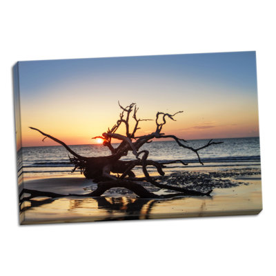 « jekyll island aube iii », reproduction de photo