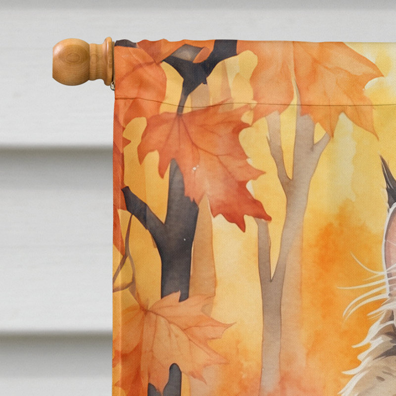 Chat en feuilles d'automne, Sibérien