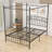 Ebrahima Metal Canopy Bed with Headboard-1976858340-1976858343