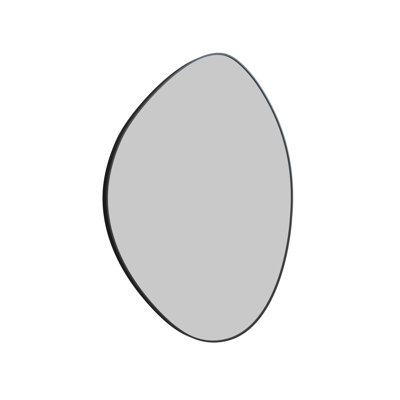 Wall Mounted Mirror
