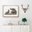 Harlequin Duck by John Audubon - Picture Frame Painting Print-55580312-55580311